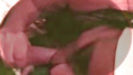 Hogareñas De Busto Arrecho Y Caliente