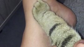 erman Amateur SandraFeet massage from cat...