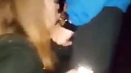 Katrina Stavicka lapa