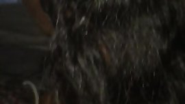 Black teen suck boyfriend cock