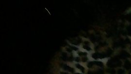 Blowjob At The Movies