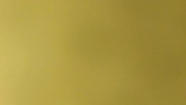 Thot getting back shots